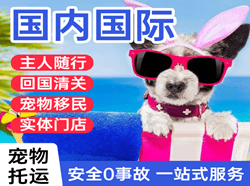 二连浩特空运代理国际宠物托运 【国